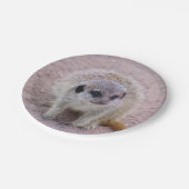 Meerkat PapierTeller (Schrägansicht)