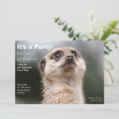 Meerkat-Party Einladung (Stehend Vorderseite)