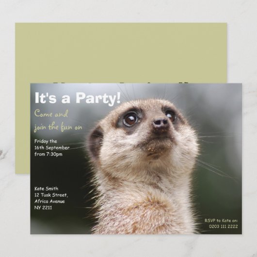 Meerkat-Party Einladung (Vorne/Hinten)