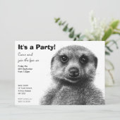 Meerkat Party Einladung (Stehend Vorderseite)