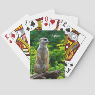 Meerkat Playing Cards Spielkarten