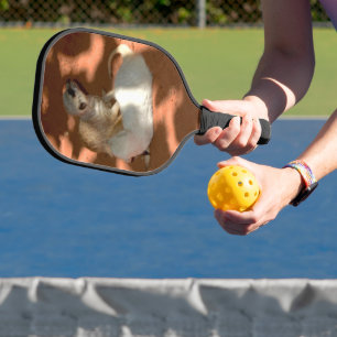 Meerkat Playtime, Pickleball Paddle