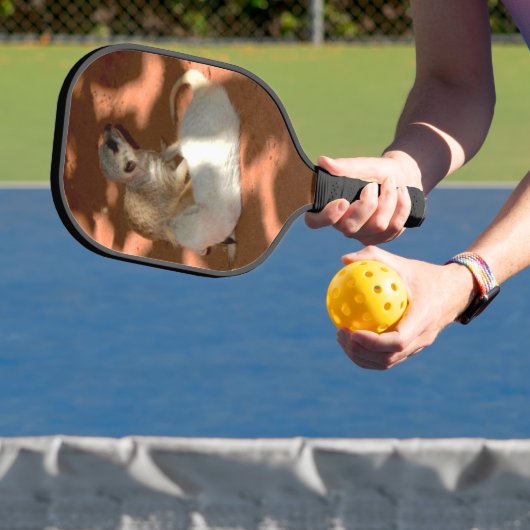 Meerkat Playtime, Pickleball Paddle (InSitu)