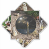 Meerkat Polyscope Aufkleber (Vorderseite)