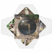 Meerkat Polyscope Fußball (Flach)
