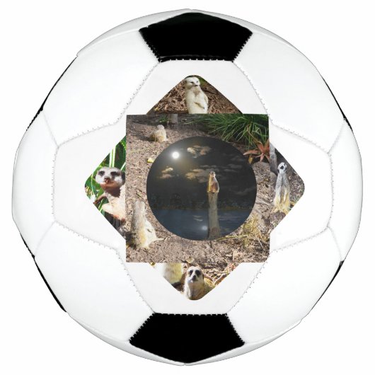 Meerkat Polyscope Fußball (Vorderseite)