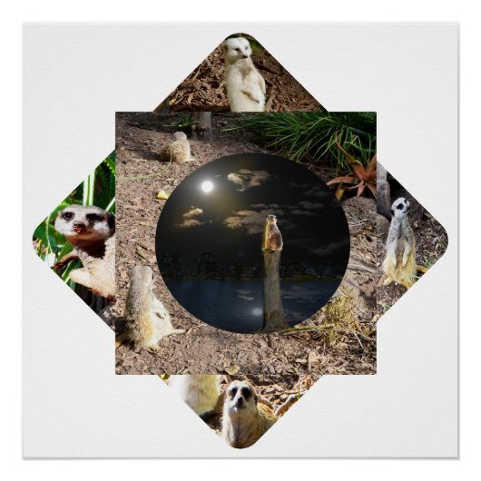 Meerkat Polyscope Poster (Vorderseite)