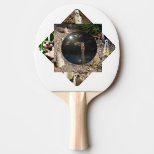 Meerkat Polyscope Tischtennis Schläger