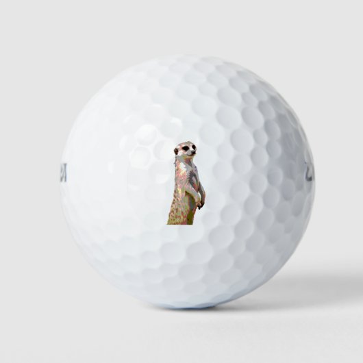 Meerkat - Pop Art Style & Posteried Golfball (Vorderseite)