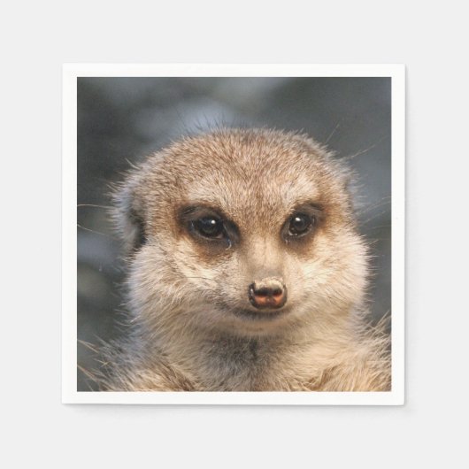 Meerkat-Portrait 002 Serviette (Vorderseite)
