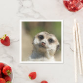 Meerkat-Portrait 003 Serviette (Beispiel)