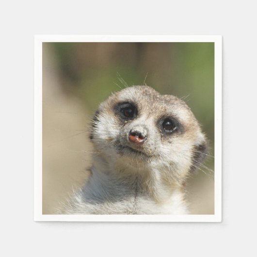 Meerkat-Portrait 003 Serviette (Vorderseite)