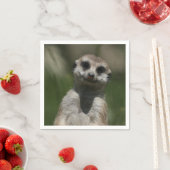 Meerkat-Portrait 004 Serviette (Beispiel)