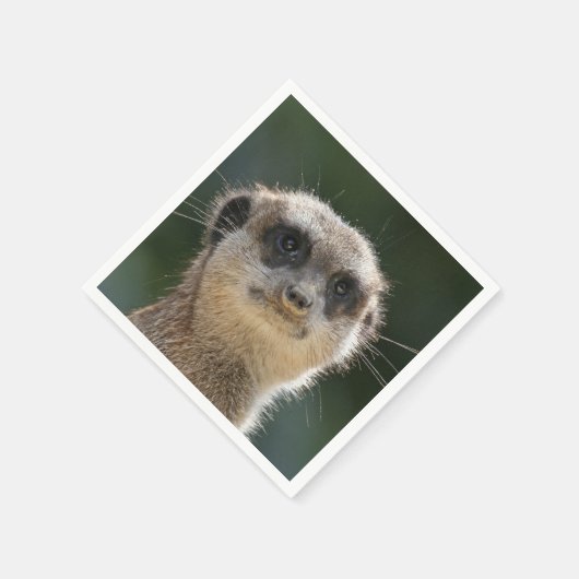 Meerkat-Portrait 006 Serviette (Ecke)