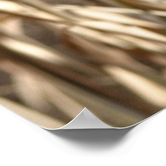 Meerkat Poser Poster (Ecke)