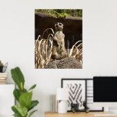 Meerkat Poser Poster (Heimbüro)