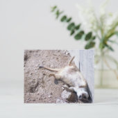 Meerkat Postcard (004) Postkarte (Stehend Vorderseite)