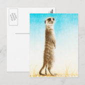Meerkat Postcard Postkarte (Vorne/Hinten)
