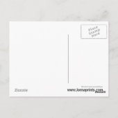 Meerkat Postcard Postkarte (Rückseite)