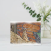 Meerkat Postcard Postkarte (Stehend Vorderseite)