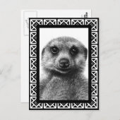 Meerkat Postcard Postkarte (Vorne/Hinten)