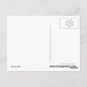 Meerkat Postcard Postkarte (Rückseite)