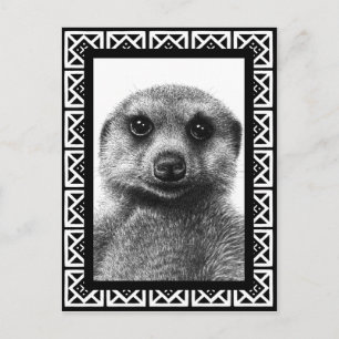 Meerkat Postcard Postkarte