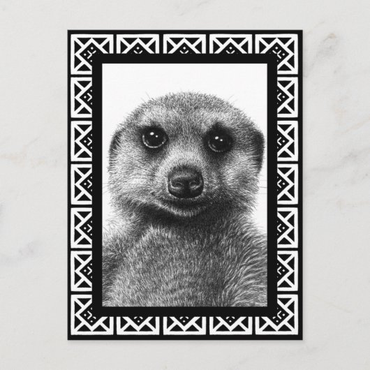 Meerkat Postcard Postkarte (Vorderseite)