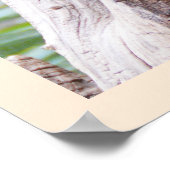 Meerkat Poster (Ecke)