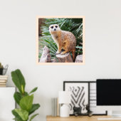 Meerkat Poster (Heimbüro)