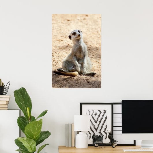 Meerkat Poster (Heimbüro)
