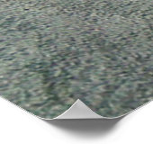 Meerkat Poster (Ecke)