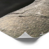 Meerkat Poster (Ecke)