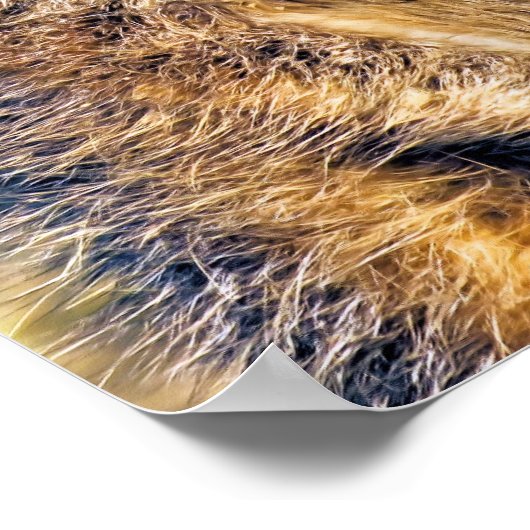 MEERKAT POSTER (Ecke)