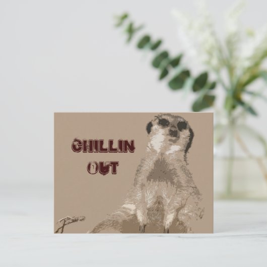 meerkat postkarte (Stehend Vorderseite)