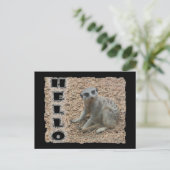 Meerkat Postkarte (Stehend Vorderseite)