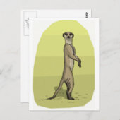 MEERKAT POSTKARTE (Vorne/Hinten)