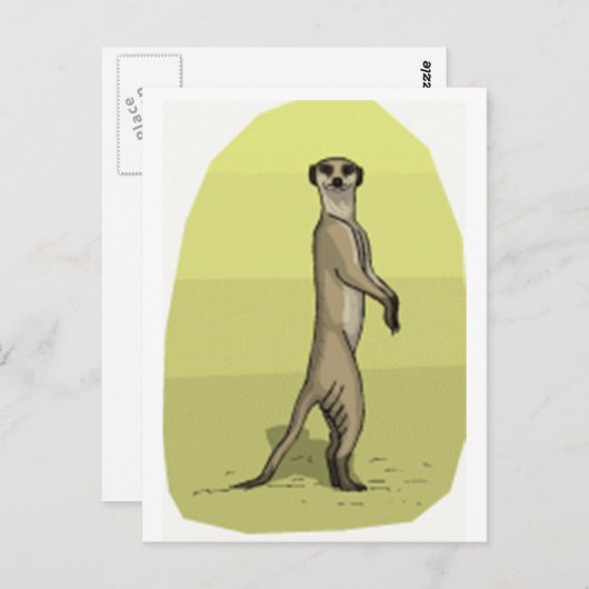 MEERKAT POSTKARTE (Vorne/Hinten)