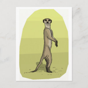 MEERKAT POSTKARTE