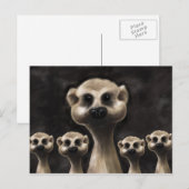 Meerkat Postkarte (Vorne/Hinten)