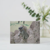 Meerkat Postkarte (Stehend Vorderseite)
