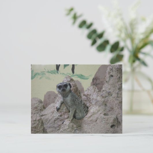 Meerkat Postkarte (Stehend Vorderseite)