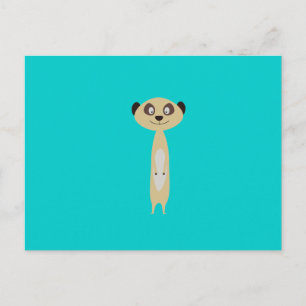 Meerkat Postkarte