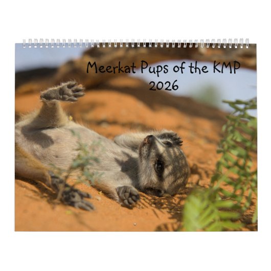 Meerkat Pups of the KMP 2026 Calendar Kalender (Titelbild)