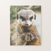 MEERKAT PUZZLE (Vertikal)