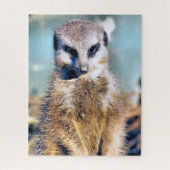 MEERKAT PUZZLE (Vertikal)
