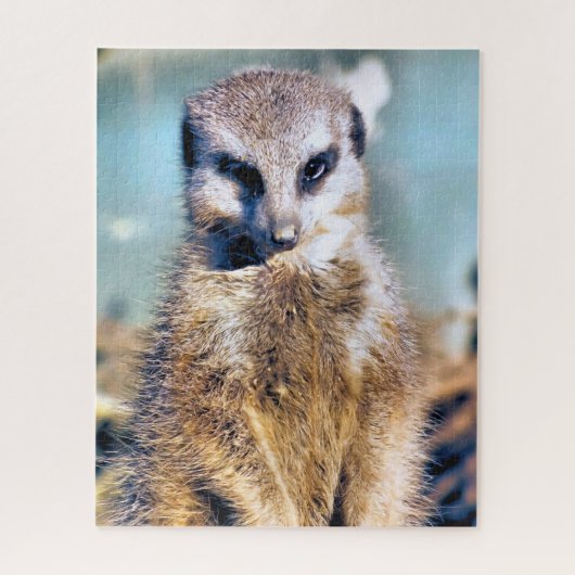 MEERKAT PUZZLE (Vertikal)