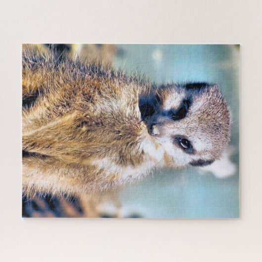 MEERKAT PUZZLE (Horizontal)
