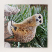 Meerkat Puzzle (Horizontal)