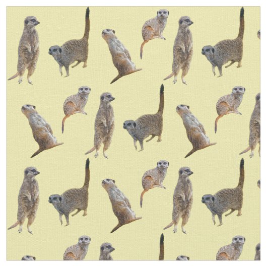 Meerkat Raserei-Gewebe (Gelb) Stoff (Nahaufnahme)
